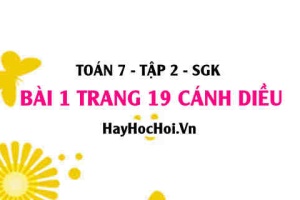 Bài 1 trang 19 Toán 7 Tập 2 Cánh Diều